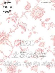 EXO֮��������