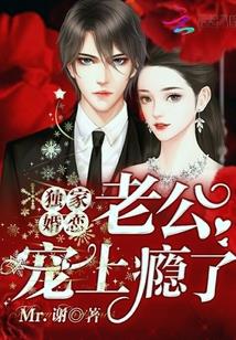 独家婚恋:老公,宠上瘾了