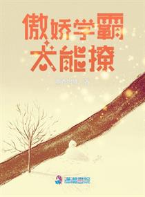 傲娇学霸太能撩