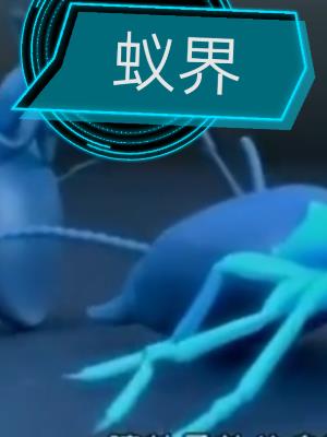 一姐